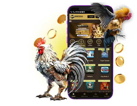 Sabong Betting at SwertePlus